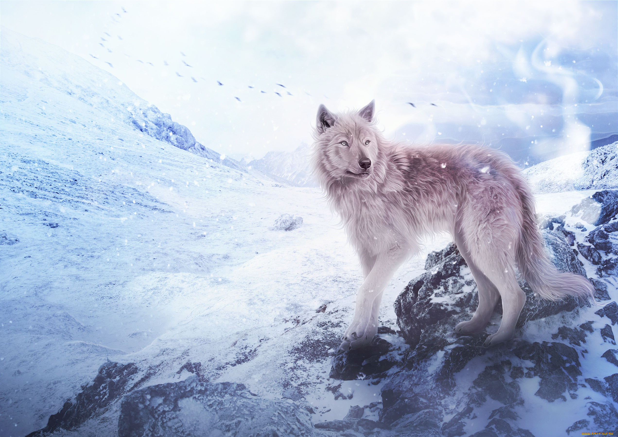 , ,  , , , , by, fiirewolf